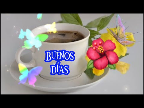 Imágenes De Flores Hermosas Con Frases De Buenos Dias - Qubico